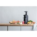 Panasonic MJ-L501KXE Slow Juicer Entsafter sw 150W