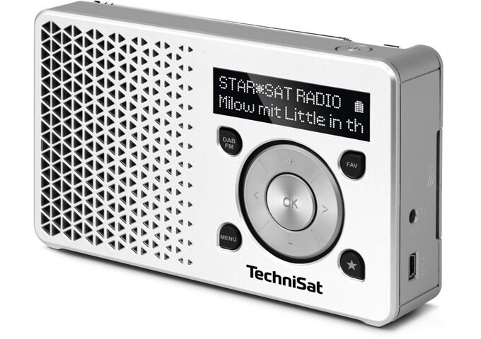 TechniSat DigitRadio 1 ws/si DAB+/UKW