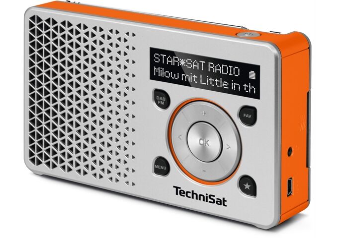 TechniSat DigitRadio 1si/org DAB+/UKW