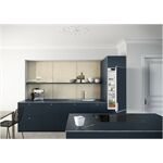 Liebherr DRe 4101-22 EB-Kühlschrank E 167/16L 122cm dekorfä