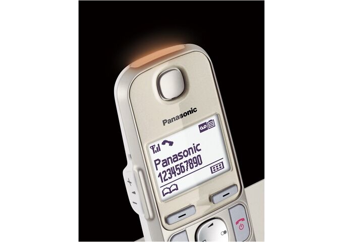 Panasonic KX-TGE262 GN Seniorentelefon SOS-Taste mit AB + Mo