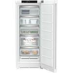 Liebherr FNc 4625-20 Gefrierschrank C 200L 145,5x59,7x67,5c