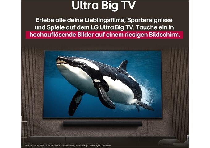 LG 65NANO81A6A.AEU NanoCell LED-TV UHD Multituner Sma