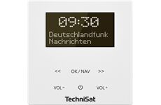 TechniSat DigitRadio UP 55 ws DAB+/UKW Unterputzradio Blueto