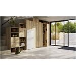 Liebherr FNa 6635-20 Gefrierschrank A 260L 145,5x69,7x76cm