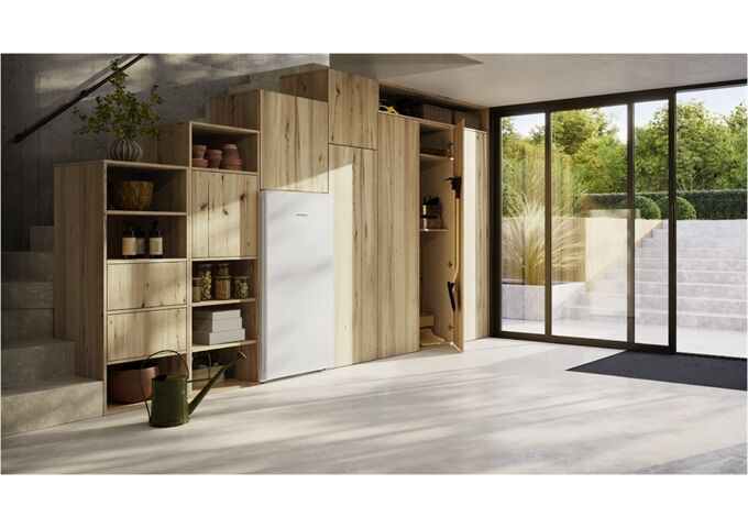Liebherr FNa 6635-20 Gefrierschrank A 260L 145,5x69,7x76cm