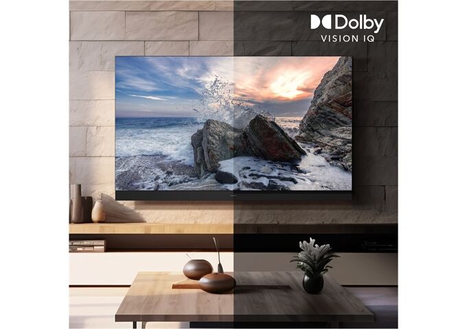 Panasonic TV-55Z95BEG sw/mt LED-TV OLED 4K UHD Penta Tuner F