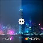 Panasonic TV-55Z80BEZ sw LED-TV OLED-TV 4K UHD HDR DVB-T2HD/