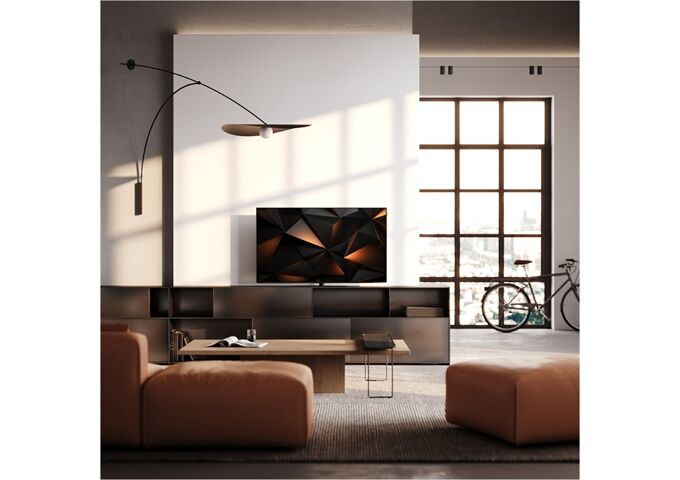 Loewe We.SEE 48 oled dc coal black LED-TV OLED UHD TWIN
