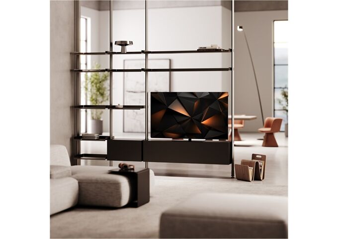 Loewe We.SEE 48 oled dc coal black LED-TV OLED UHD TWIN