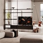 Loewe We.SEE 55 oled dc coal black LED-TV OLED UHD TWIN