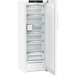 Liebherr FNb 505i-22 ws Gefrierschrank B 239L 165,5x59,7x67