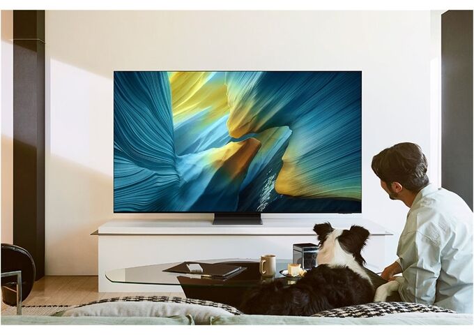 Samsung GQ65S95FATXZG OLED-TV 4K UHD TWIN Multituner HDR S